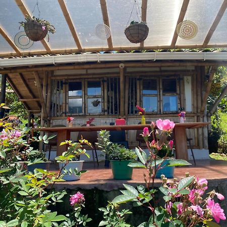 Ecohotel Soplo Del Tambo 科科尔纳 外观 照片
