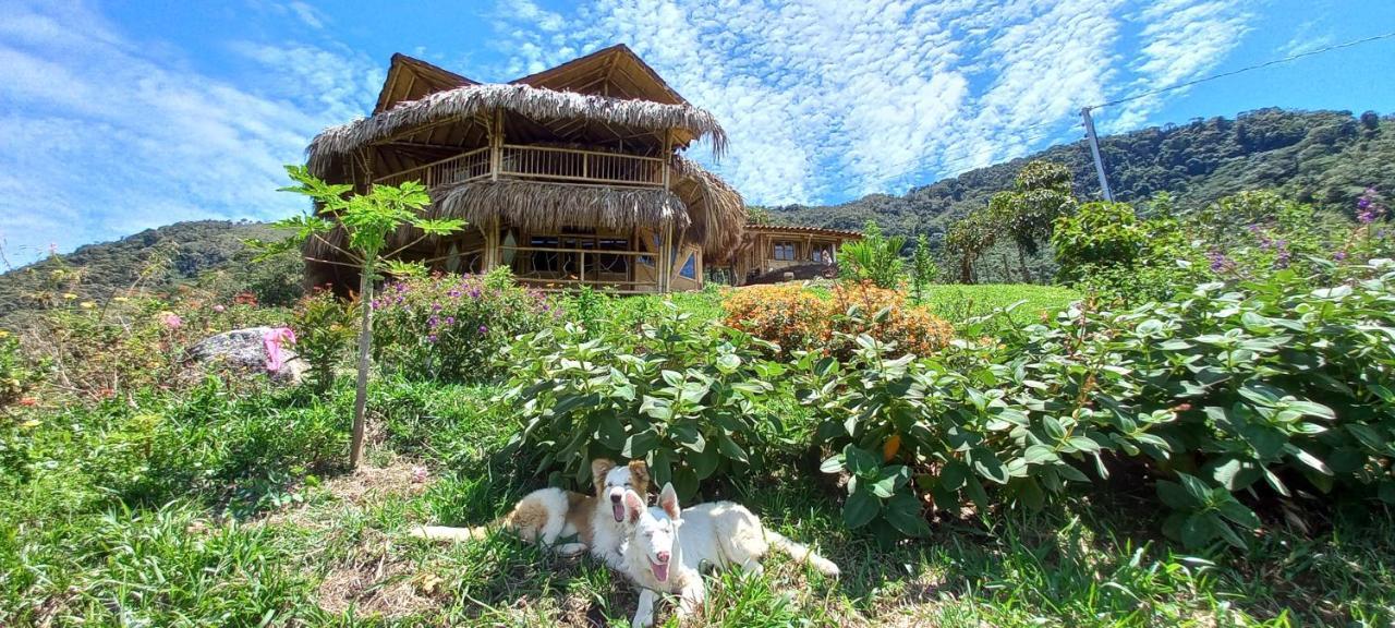 Ecohotel Soplo Del Tambo 科科尔纳 外观 照片
