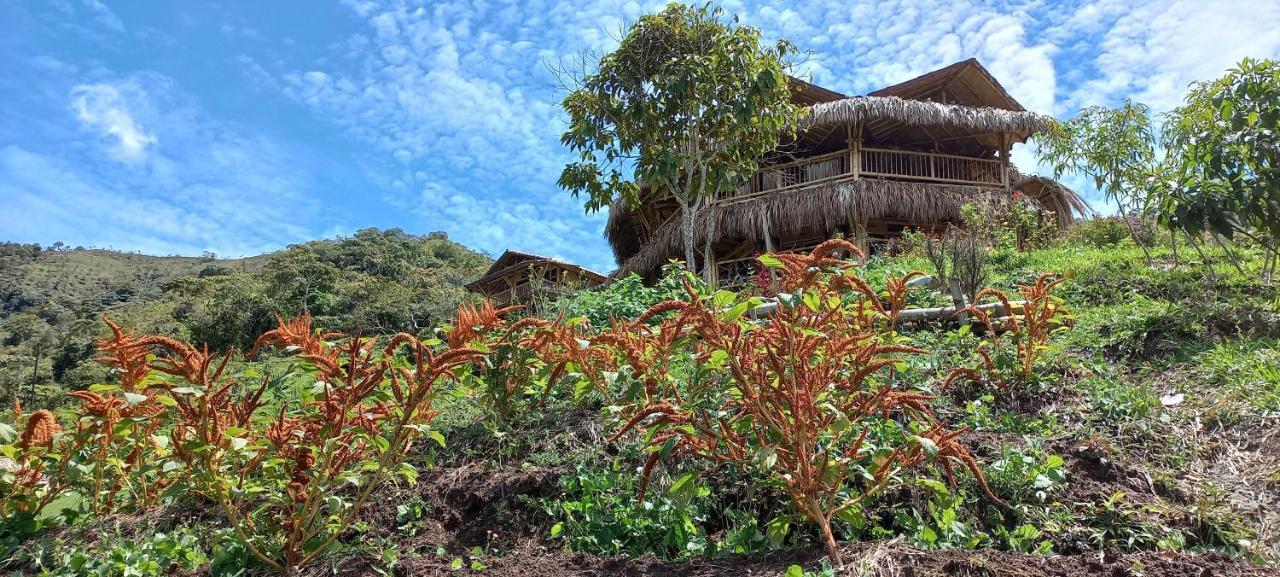 Ecohotel Soplo Del Tambo 科科尔纳 外观 照片