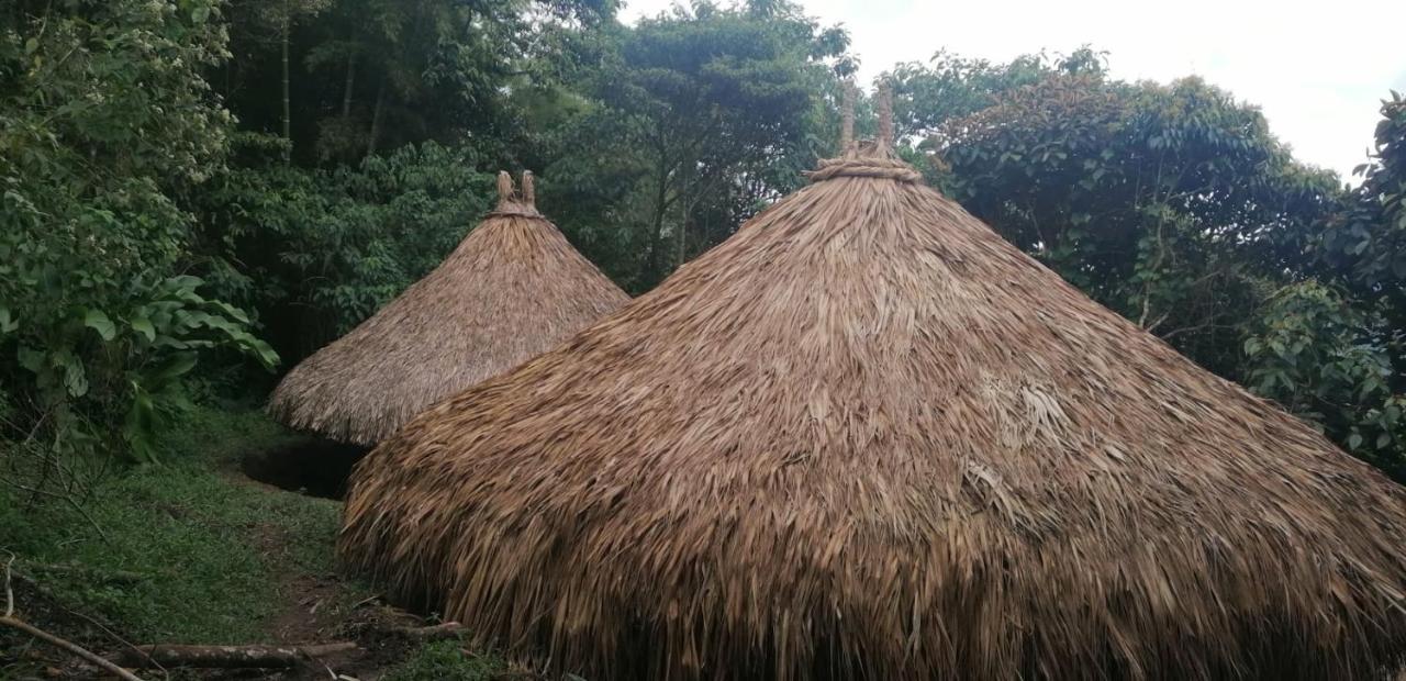 Ecohotel Soplo Del Tambo 科科尔纳 外观 照片